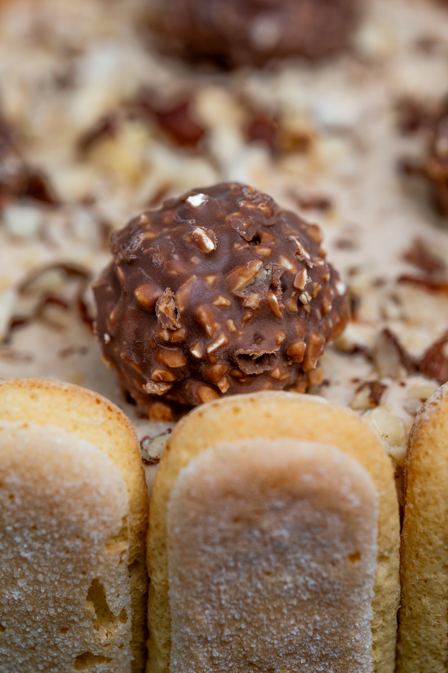 Hazelnut Tiramisu Cake